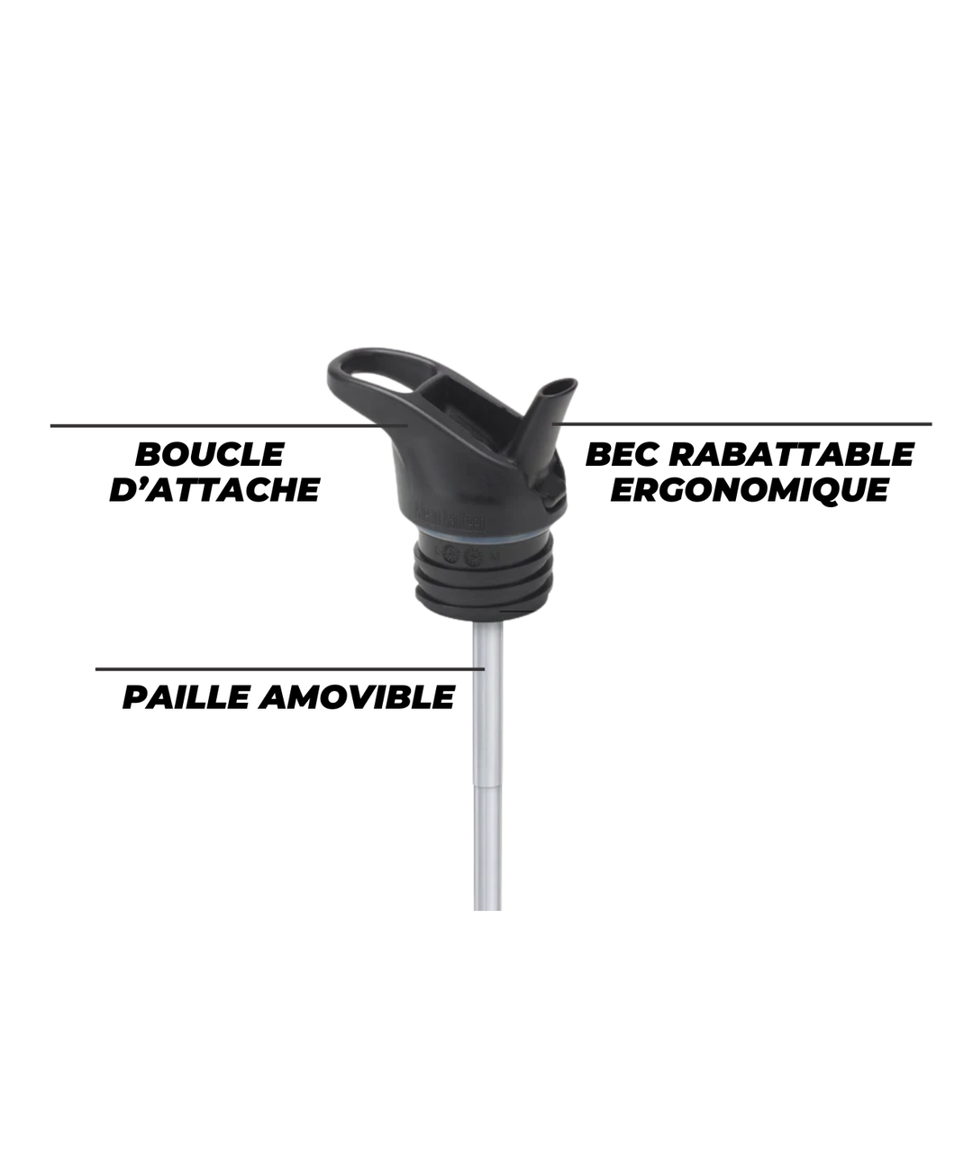Gourde Isotherme Gourde Sèche Propre Pour Artisanat - Diamètre 7 3/4, Hauteur 9 1/2, Circonférence 24 - Neuf Gourde Fille Gourde Isotherme Gourde Sèche Propre Pour Artisanat - Diamètre 7 3/4, Hauteur 9 1/2, Circonférence 24 - Neuf Gourde Fille