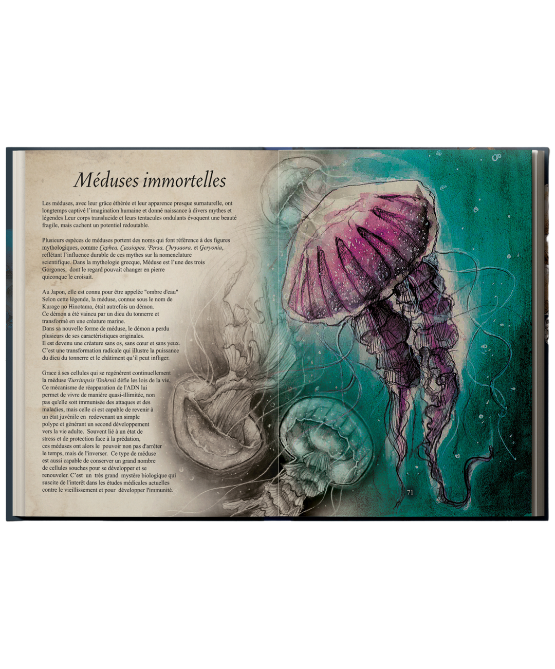 Livre L'Océanium