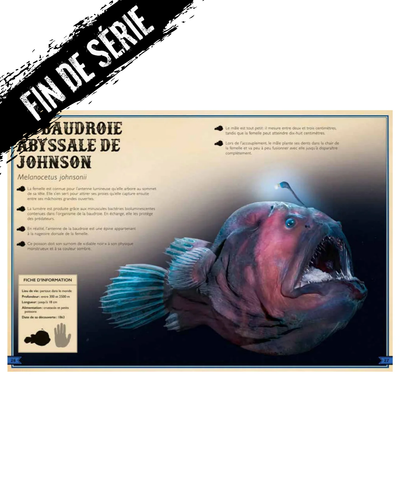 The Extraordinary Book of Creatures of the Abyss