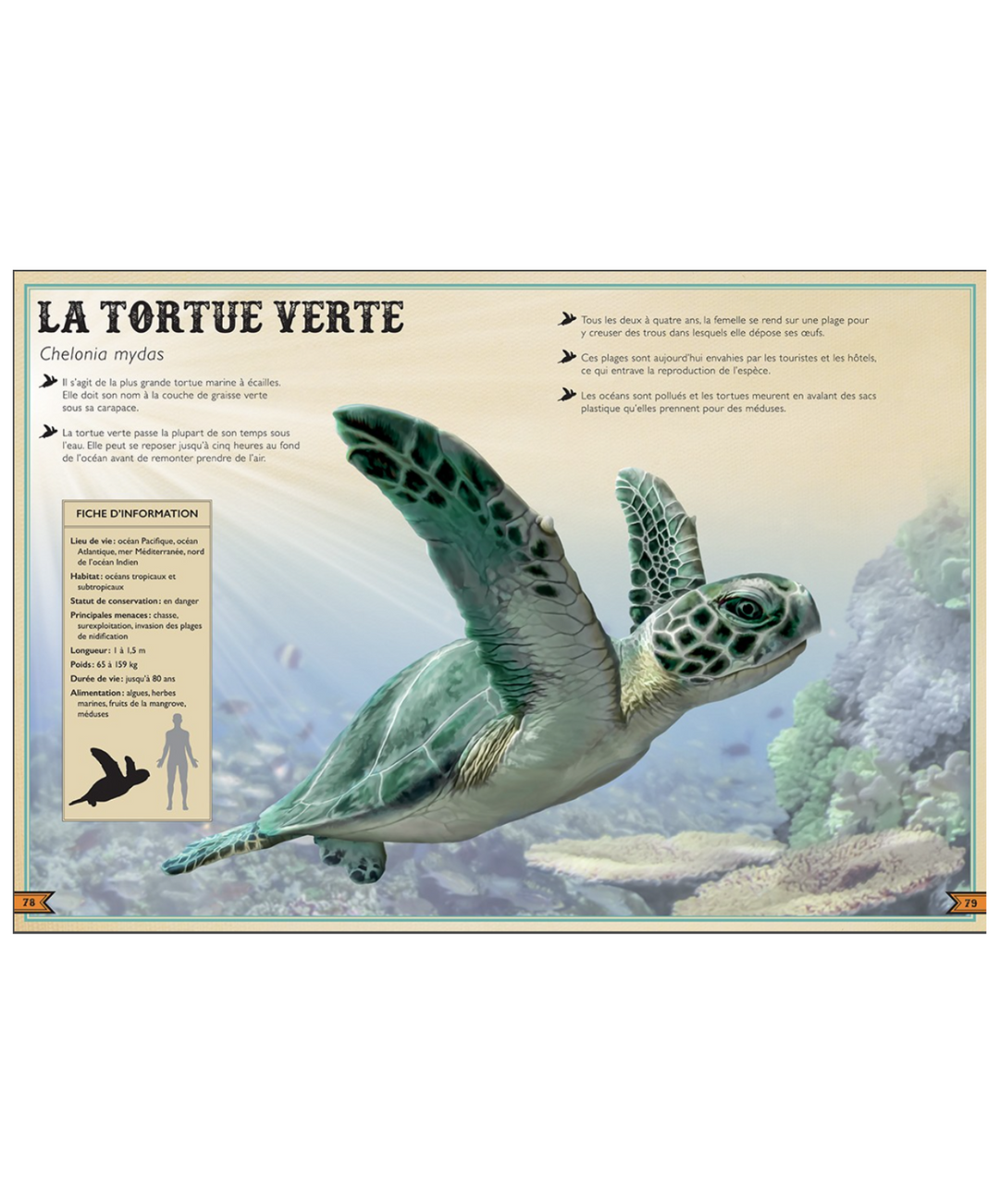 The Extraordinary Book of Endangered Animals