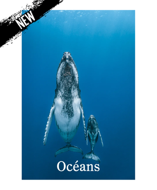 Océans