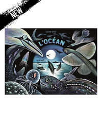 Book The Ocean, one night...