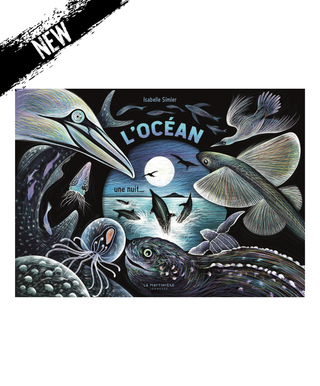 Livre L'Océan, une nuit...
