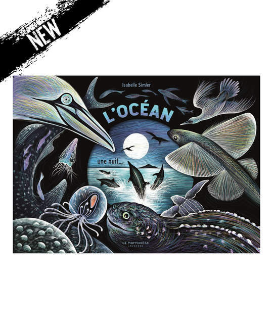Livre L'Océan, une nuit...
