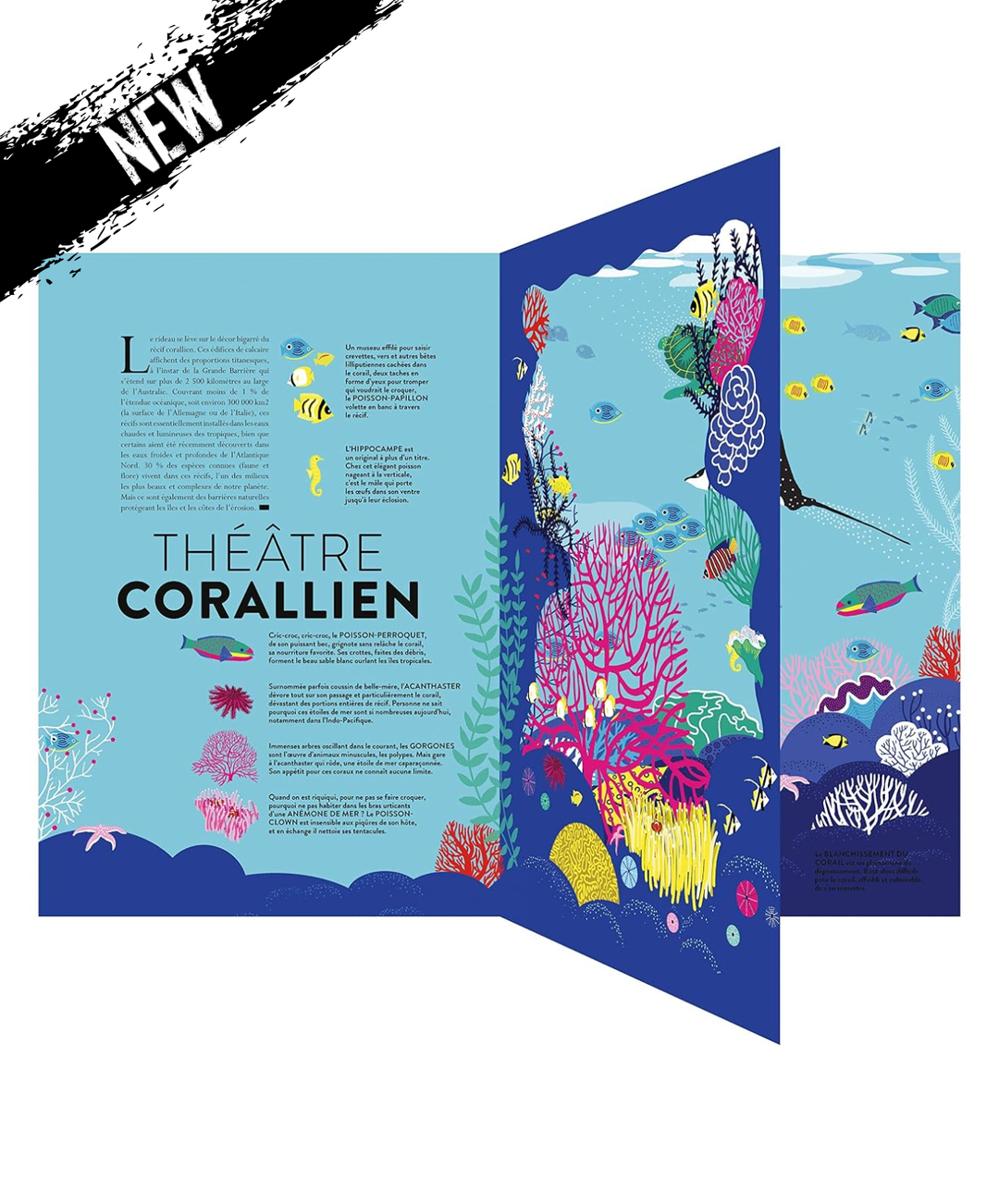 Livre Océan - Découpes et animations pour explorer le monde marin