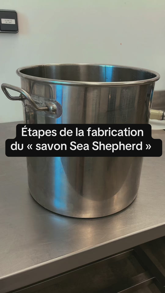 Savon 4 en 1