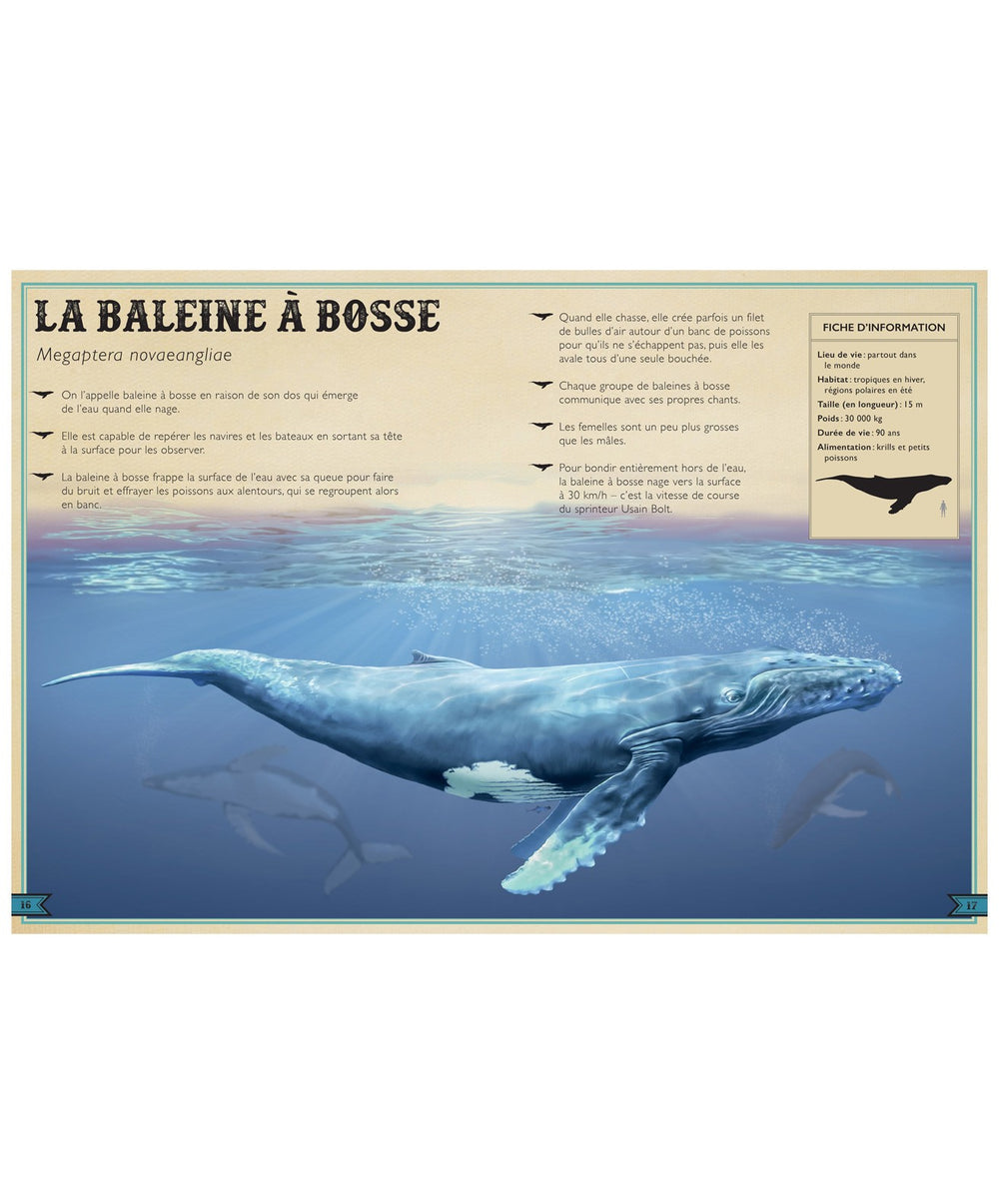 The Extraordinary Book of Ocean Animals