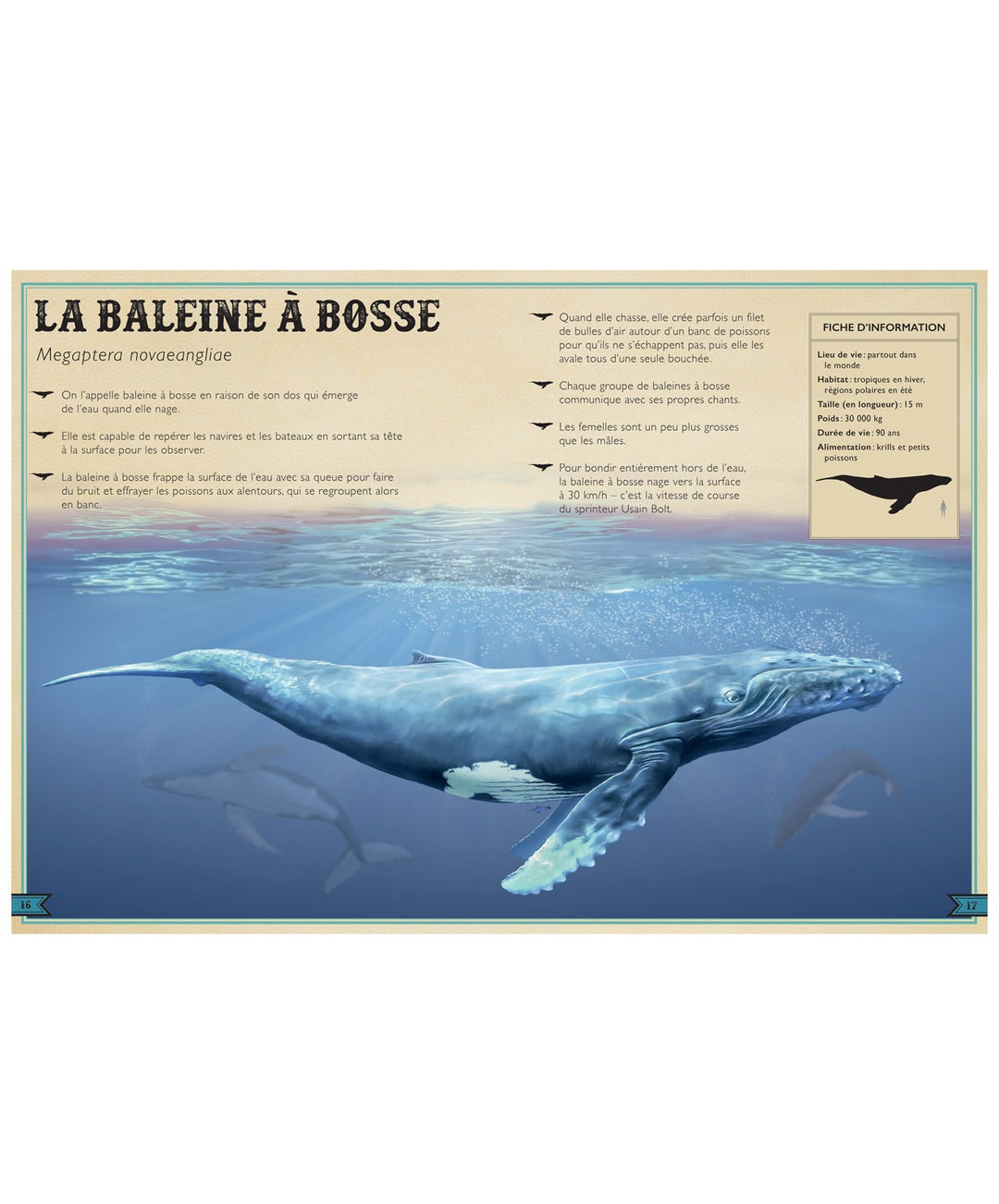 Le Livre Extraordinaire des Animaux des Océans