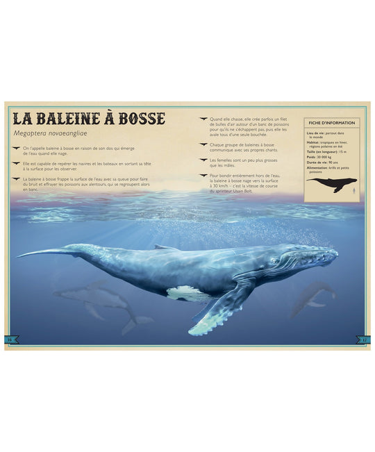 Le Livre Extraordinaire des Animaux des Océans