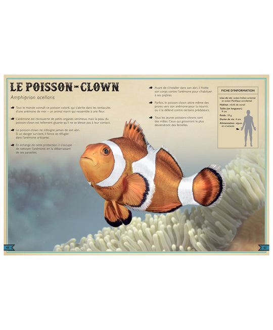 Le Livre Extraordinaire des Animaux des Océans