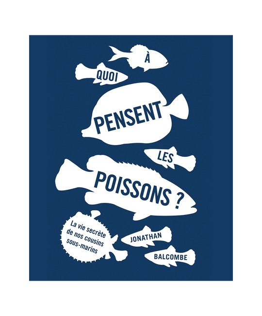 À Quoi Pensent les Poissons ?