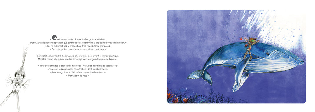 Zélie et le 6ème continent