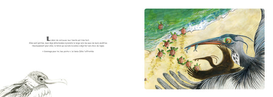 Zélie et le 6ème continent