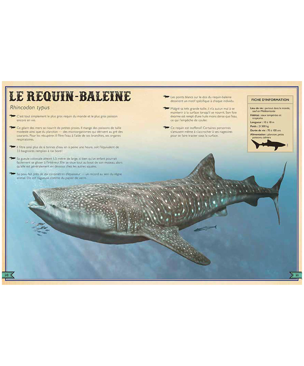 The Extraordinary Book of Sharks