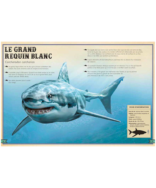 Le Livre Extraordinaire des Requins