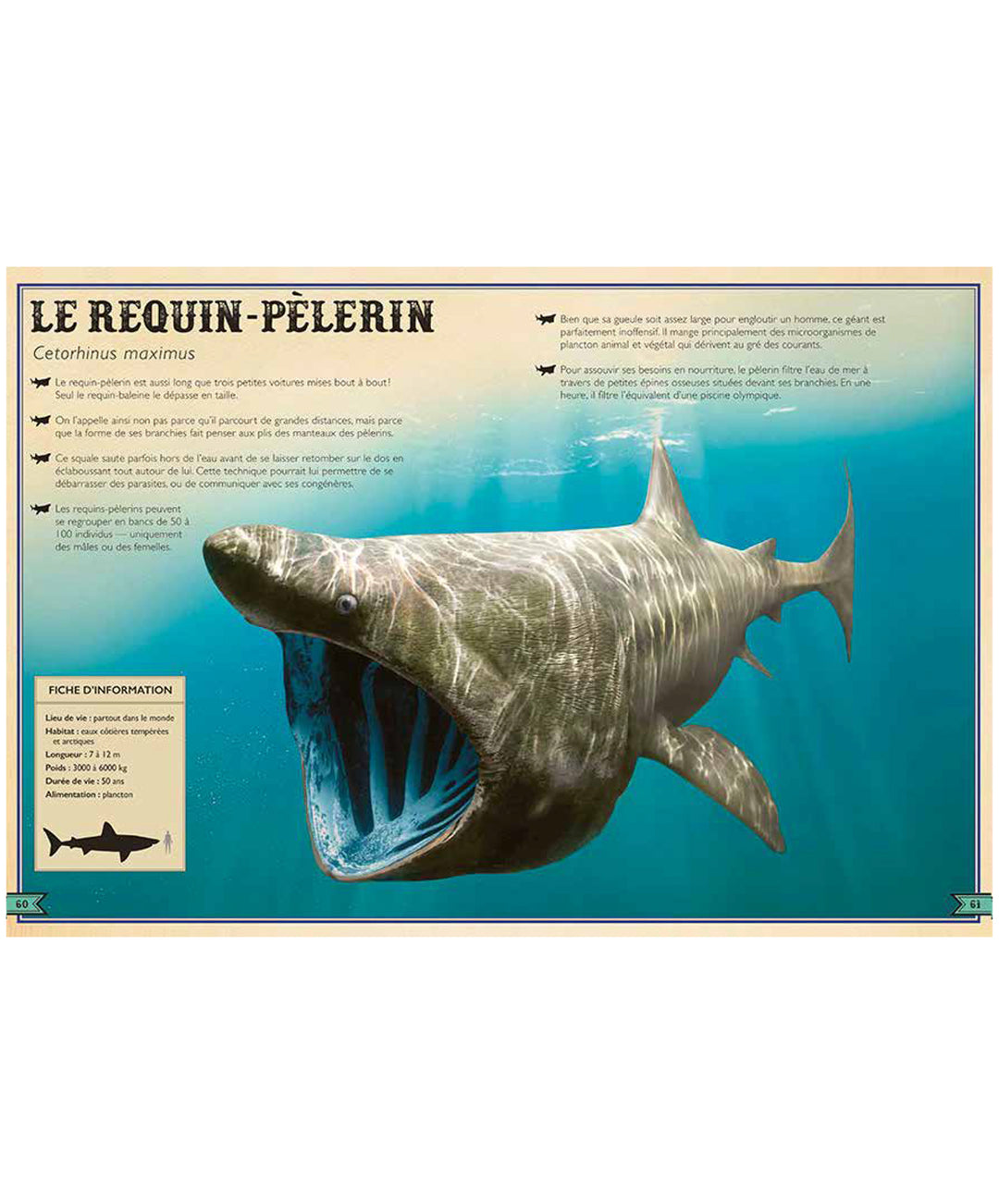 Le Livre Extraordinaire des Requins