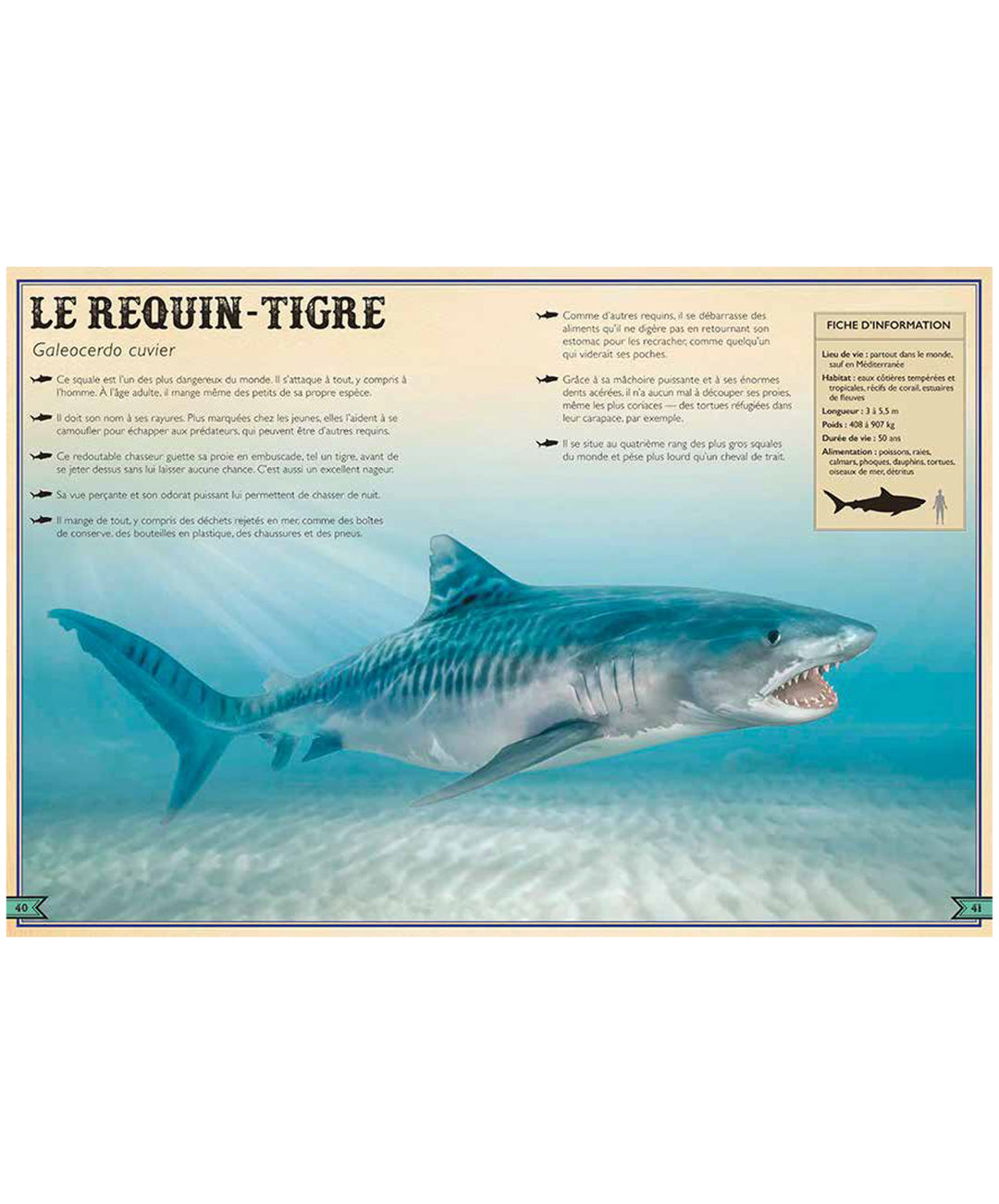 Le Livre Extraordinaire des Requins